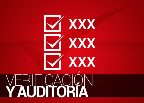 verificacion y auditoria