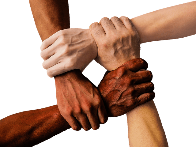 ¿Cómo te beneficia trabajar en un equipo de fuerza de ventas?