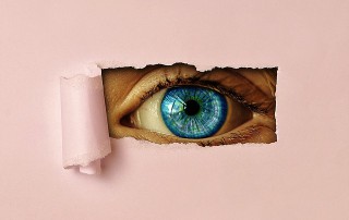 La clave del éxito está en la supervisión de las azafatas