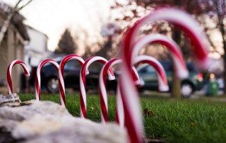 Oferta de empleo: Animadores socioculturales