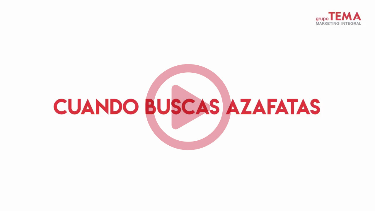 Azafatas del Grupo TEMA