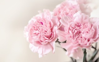 Azafatas de imagen en Madrid: Evento San Isidro