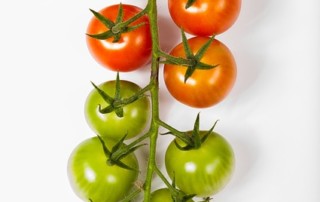 Asesores de productos ecológicos en Alcalá de Henares