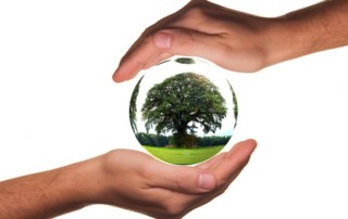 Vendedores de productos ecológicos en Palma de Mallorca