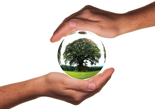 Vendedores de productos ecológicos en Palma de Mallorca