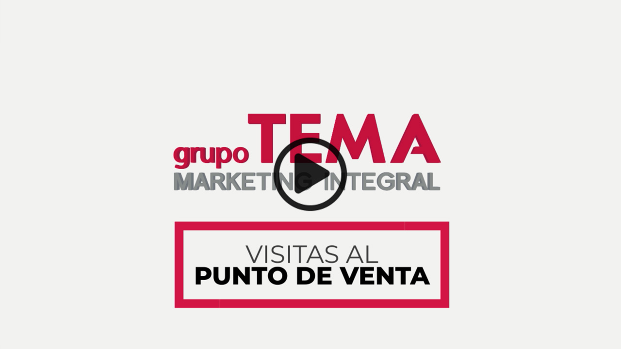 Grupo TEMA – Visitas al punto de venta