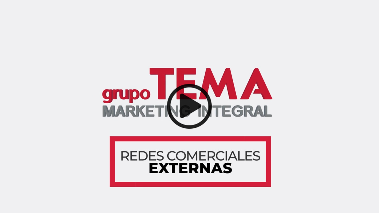 Grupo TEMA – Redes Comerciales Externas