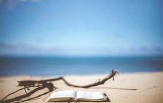 Lecturas imprescindibles en verano