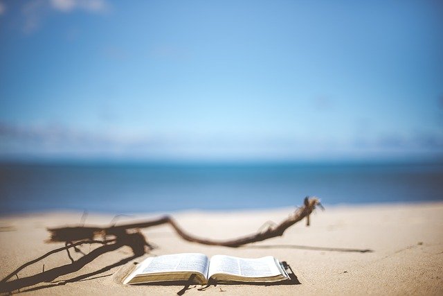 Lecturas imprescindibles en verano