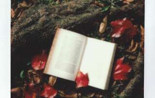 Libros para regalar en San Valentín para vender más