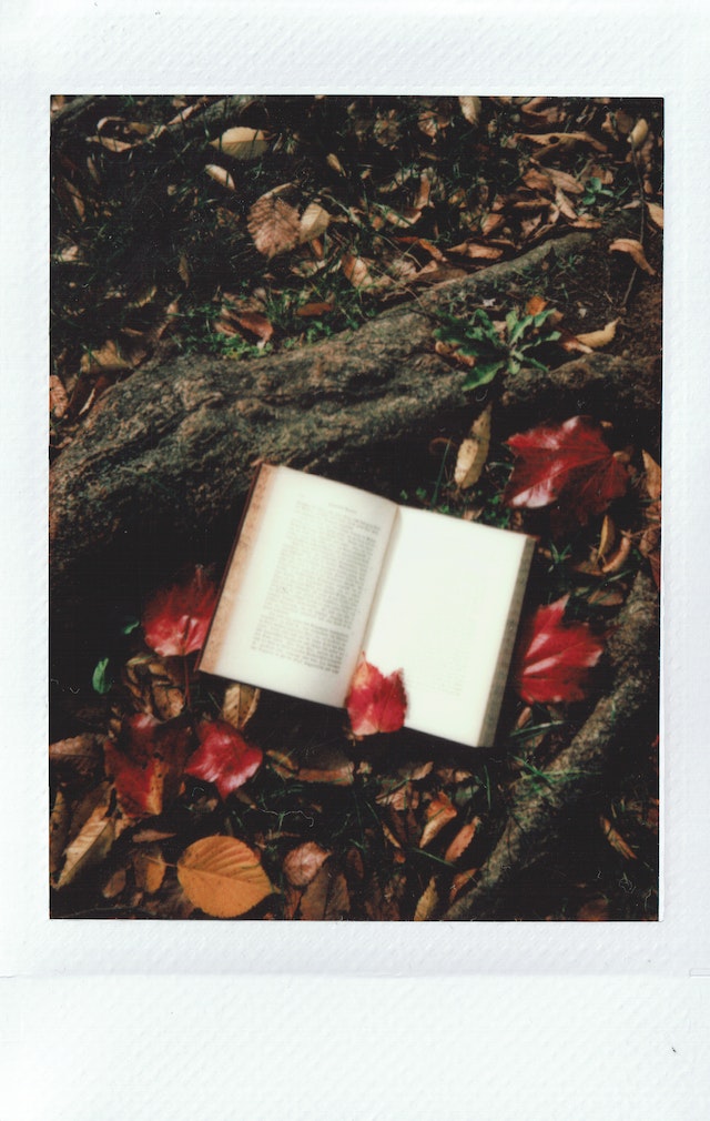 Libros para regalar en San Valentín